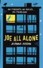 Joe All Alone - eBook