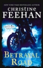 Betrayal Road - Book