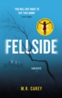 Fellside - eBook