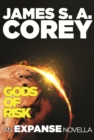 Gods of Risk : An Expanse Novella - eBook