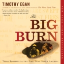 The Big Burn : Teddy Roosevelt and the Fire that Saved America - eAudiobook