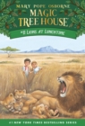 Lions at Lunchtime - eBook