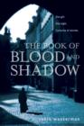 Book of Blood and Shadow - eBook