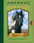 Horse Diaries #8: Black Cloud - eBook