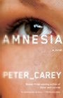 Amnesia - eBook