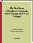 The Nonlinear Schrodinger Equation : Self-Focusing and Wave Collapse - eBook