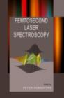 Femtosecond Laser Spectroscopy - eBook
