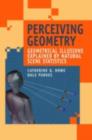 Perceiving Geometry : Geometrical Illusions Explained by Natural Scene Statistics - eBook