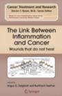 The Link Between Inflammation and Cancer : Wounds that do not heal - eBook