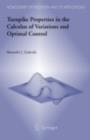 Turnpike Properties in the Calculus of Variations and Optimal Control - eBook