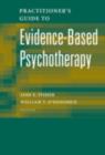 Practitioner's Guide to Evidence-Based Psychotherapy - eBook