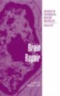 Brain Repair - eBook