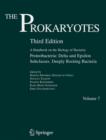 The Prokaryotes : Vol. 7: Proteobacteria: Delta and Epsilon Subclasses. Deeply Rooting Bacteria - eBook