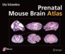 Prenatal Mouse Brain Atlas : Color images and annotated diagrams of: Gestational Days 12, 14, 16 and 18 Sagittal, coronal and horizontal section - eBook