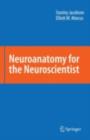 Neuroanatomy for the Neuroscientist - eBook