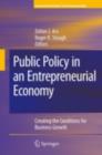 Public Policy in an Entrepreneurial Economy : Creating the Conditions for Business Growth - eBook