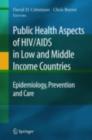 Public Health Aspects of HIV/AIDS in Low and Middle Income Countries : Epidemiology, Prevention and Care - eBook