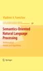 Semantics-Oriented Natural Language Processing : Mathematical Models and Algorithms - eBook
