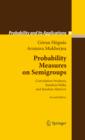 Probability Measures on Semigroups : Convolution Products, Random Walks and Random Matrices - eBook