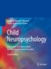 Child Neuropsychology : Assessment and Interventions for Neurodevelopmental Disorders, 2nd Edition - eBook