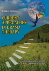Current Approaches in Drama Therapy - eBook