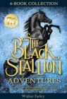 Black Stallion Adventures - eBook