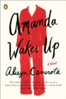 Amanda Wakes Up - eBook