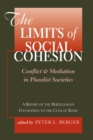 The Limits Of Social Cohesion : Conflict And Mediation In Pluralist Societies - eBook