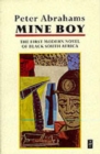 Mine Boy - Book