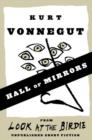 Hall of Mirrors (Short Story) - eBook