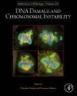 DNA Damage and Chromosomal Instability - eBook