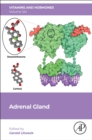 Adrenal Gland : Volume 124 - Book