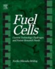 Fuel Cells : Current Technology Challenges and Future Research Needs - eBook