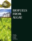 Biofuels from Algae - eBook
