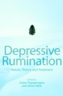 Depressive Rumination : Nature, Theory and Treatment - eBook