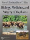 Biology, Medicine, and Surgery of Elephants - eBook