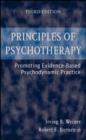 Principles of Psychotherapy : Promoting Evidence-Based Psychodynamic Practice - eBook