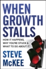 When Growth Stalls : How It Happens, Why You're Stuck, and What to Do About It - eBook