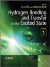 Hydrogen Bonding and Transfer in the Excited State - eBook