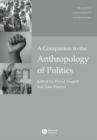 A Companion to the Anthropology of Politics - eBook