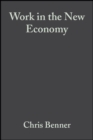 Work in the New Economy : Flexible Labor Markets in Silicon Valley - eBook