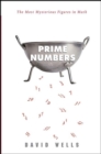 Prime Numbers : The Most Mysterious Figures in Math - eBook