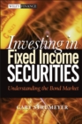 Investing in Fixed Income Securities - eBook