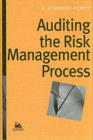 Auditing the Risk Management Process - eBook