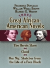 Three Great African-American Novels : The Heroic Slave, Clotel and Our Nig - eBook