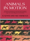 Animals in Motion - eBook