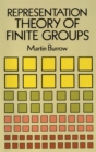 Representation Theory of Finite Groups - eBook