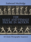 The Male and Female Figure in Motion - eBook