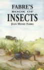 Fabre's Book of Insects - eBook