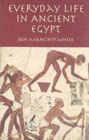 Everyday Life in Ancient Egypt - Book
